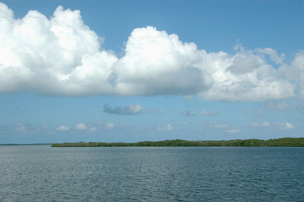 DSC 4258 Cayo Las Brujas