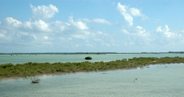 DSC 4261 Cayo Las Brujas