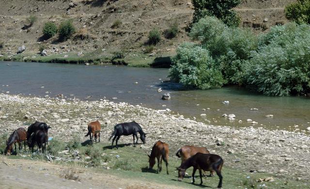 Droga do Diyarbakir (19)