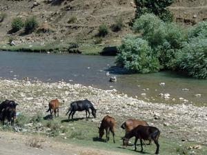 Droga do Diyarbakir (19)