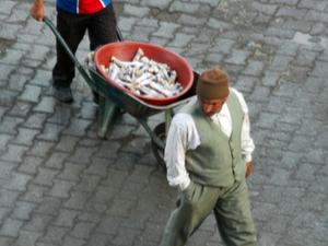Dogubayazit rano (10)
