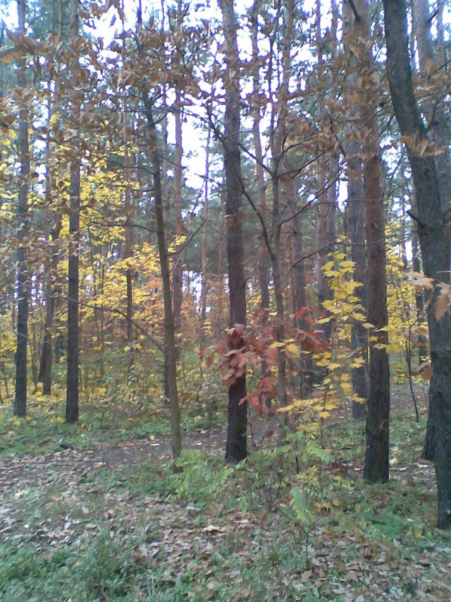 Park Imienia Matki Mojej, Wawer