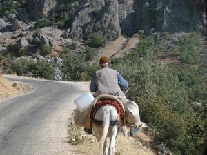 Droga na Nemrut Arsameia (11)