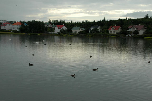 DSC 9981