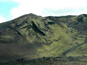 DSC 0054