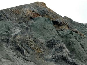 DSC 0190
