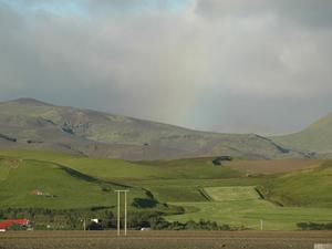 DSC 0241