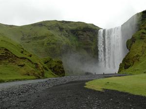 DSC 0424