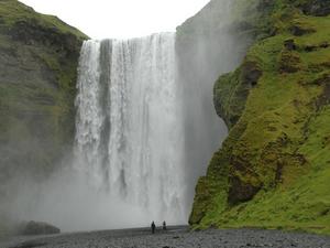 DSC 0425