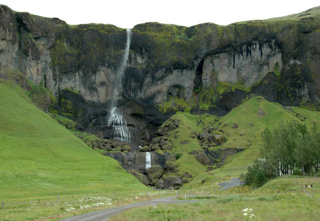 DSC 0481