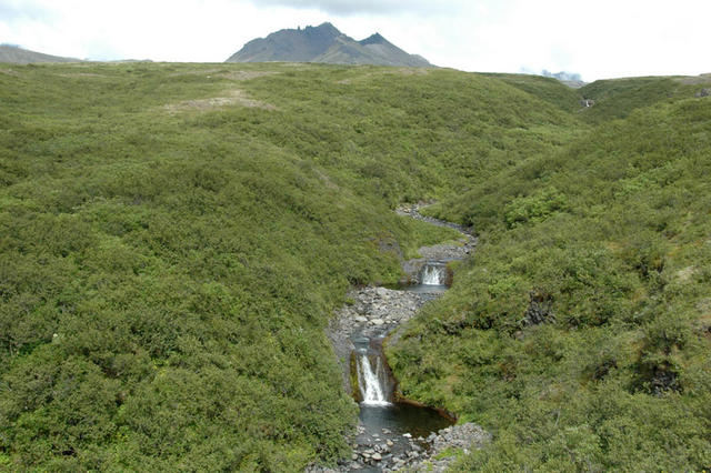 DSC 0549