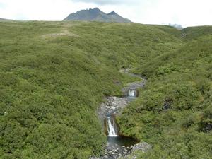 DSC 0549