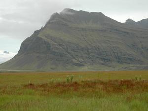 DSC 0740