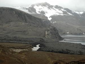 DSC 1010