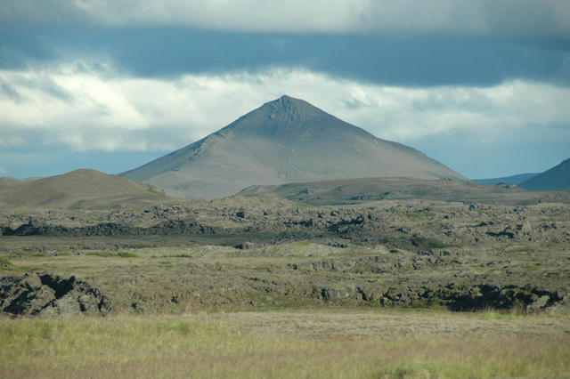 DSC 1113