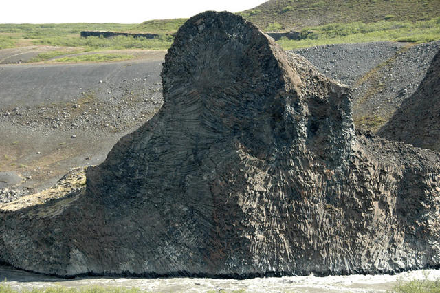 DSC 1200