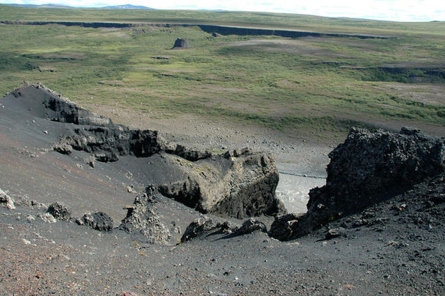 DSC 1231