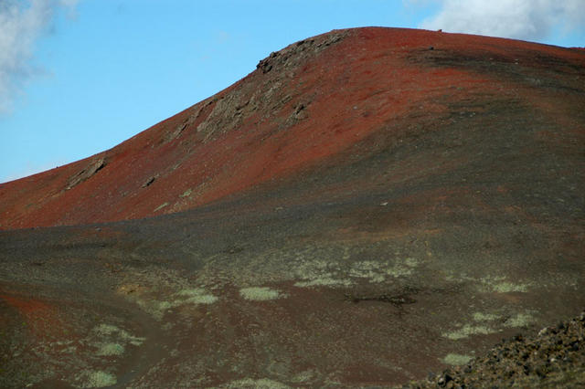 DSC 1282