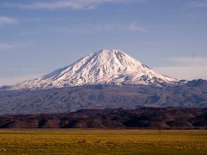 Ararat dominujący