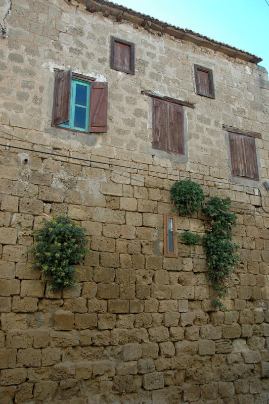 DSC 7189