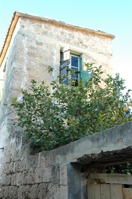 DSC 7190