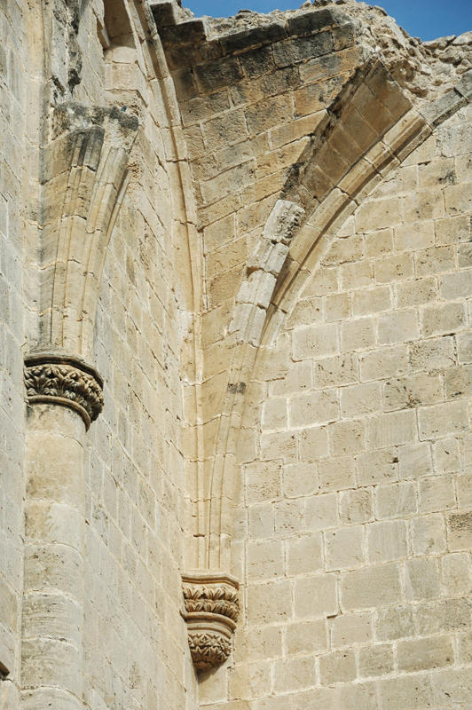 DSC 7334