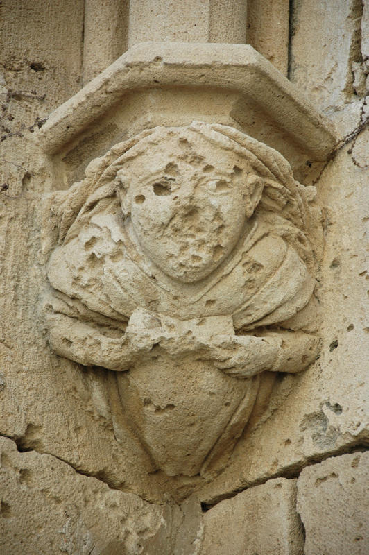 DSC 7337