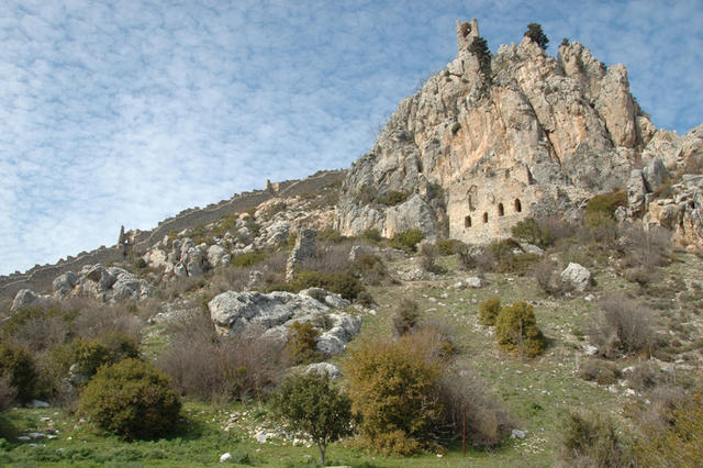 DSC 7360