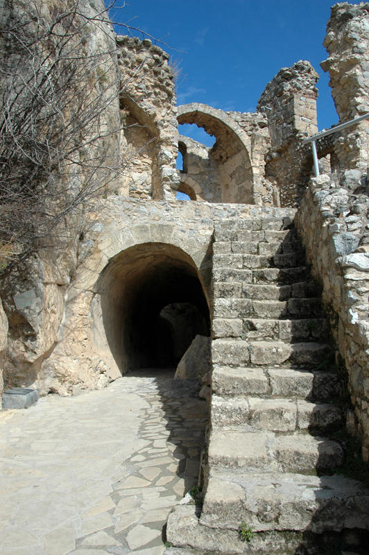 DSC 7365