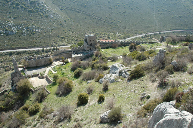DSC 7367