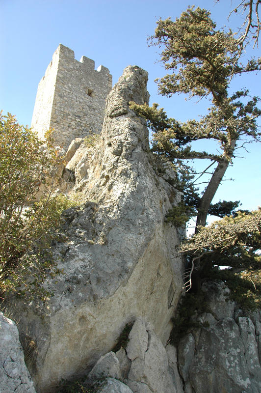 DSC 7402