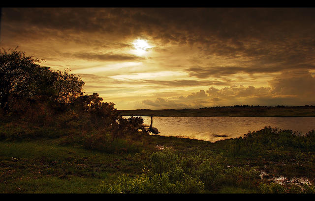 Hatchet Pond 