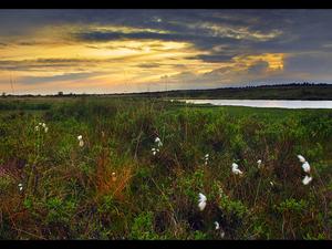 Hatchet Pond 