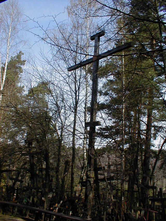 Krzyż