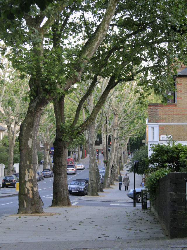 Notting Hill