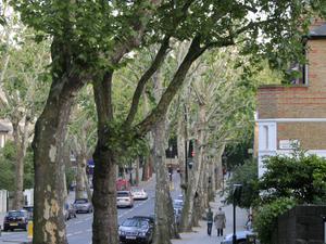 Notting Hill