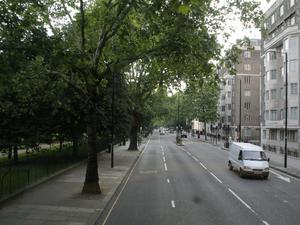 Hyde Park - płot...