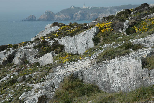 Crozon Bretania3 042