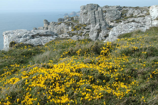 Crozon Bretania3 063
