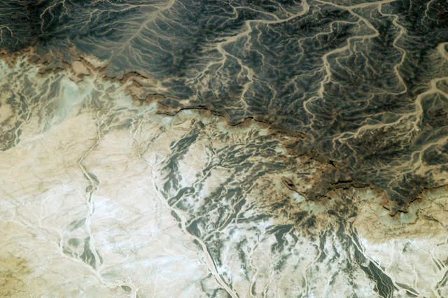 DSC 3555