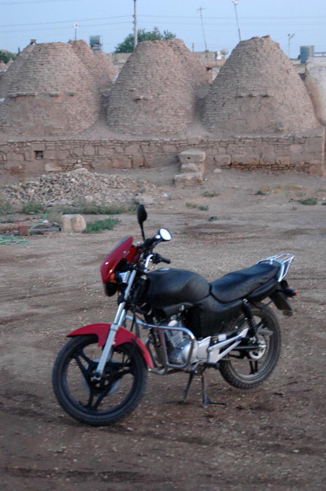Haran (54)