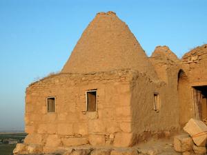 Haran (20)