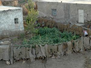 Haran (21)