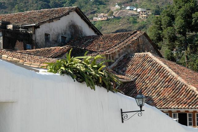 Ouro preto (101)