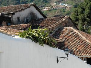 Ouro preto (101)