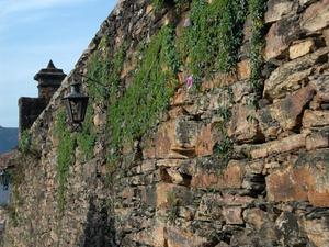 Ouro preto (22)
