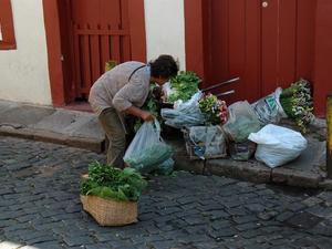 Ouro preto (44)