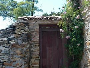 Ouro preto (51)
