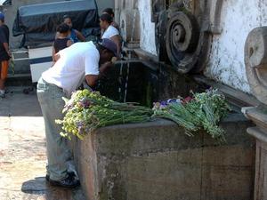 Ouro preto (59)
