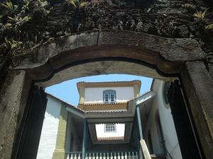 Ouro preto (75)